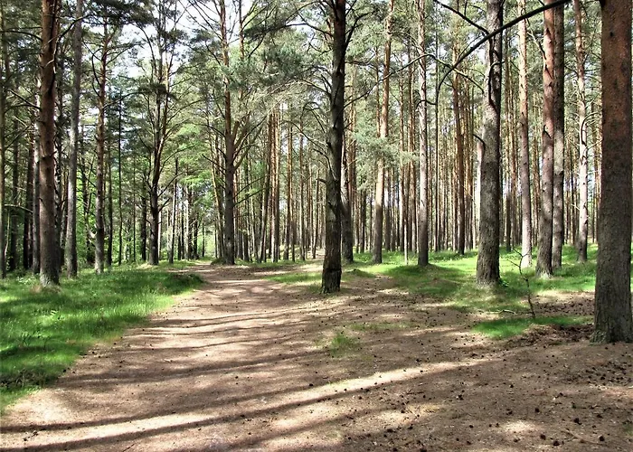 Biale * Lubiatowo (Pomerania)